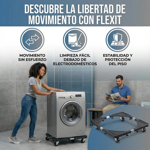 FLEXIT