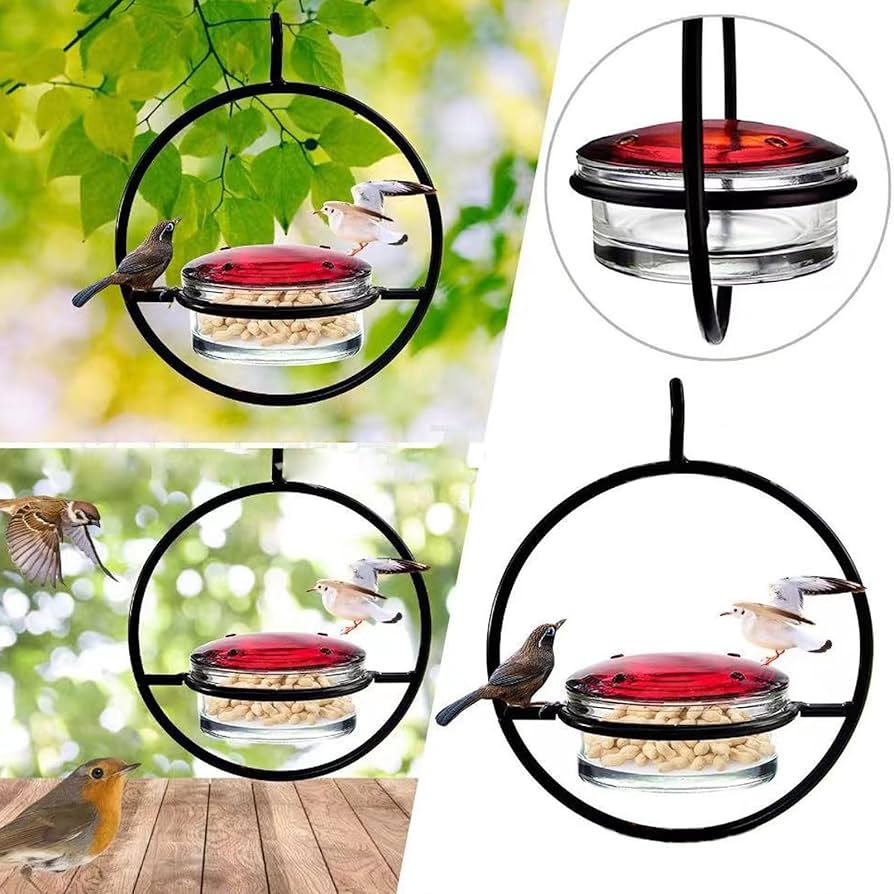AURAFLY® ATRAE MAGIA VIVA A TU JARDIN