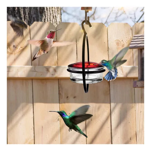 AURAFLY® ATRAE MAGIA VIVA A TU JARDIN
